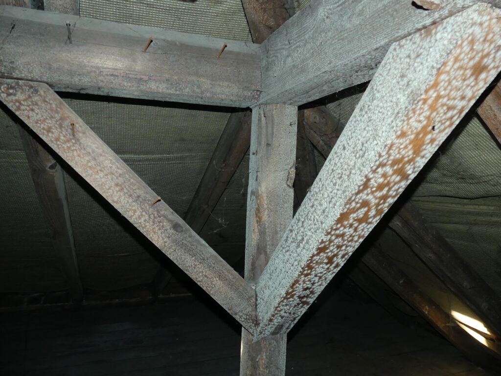 1.1 Galerie 14